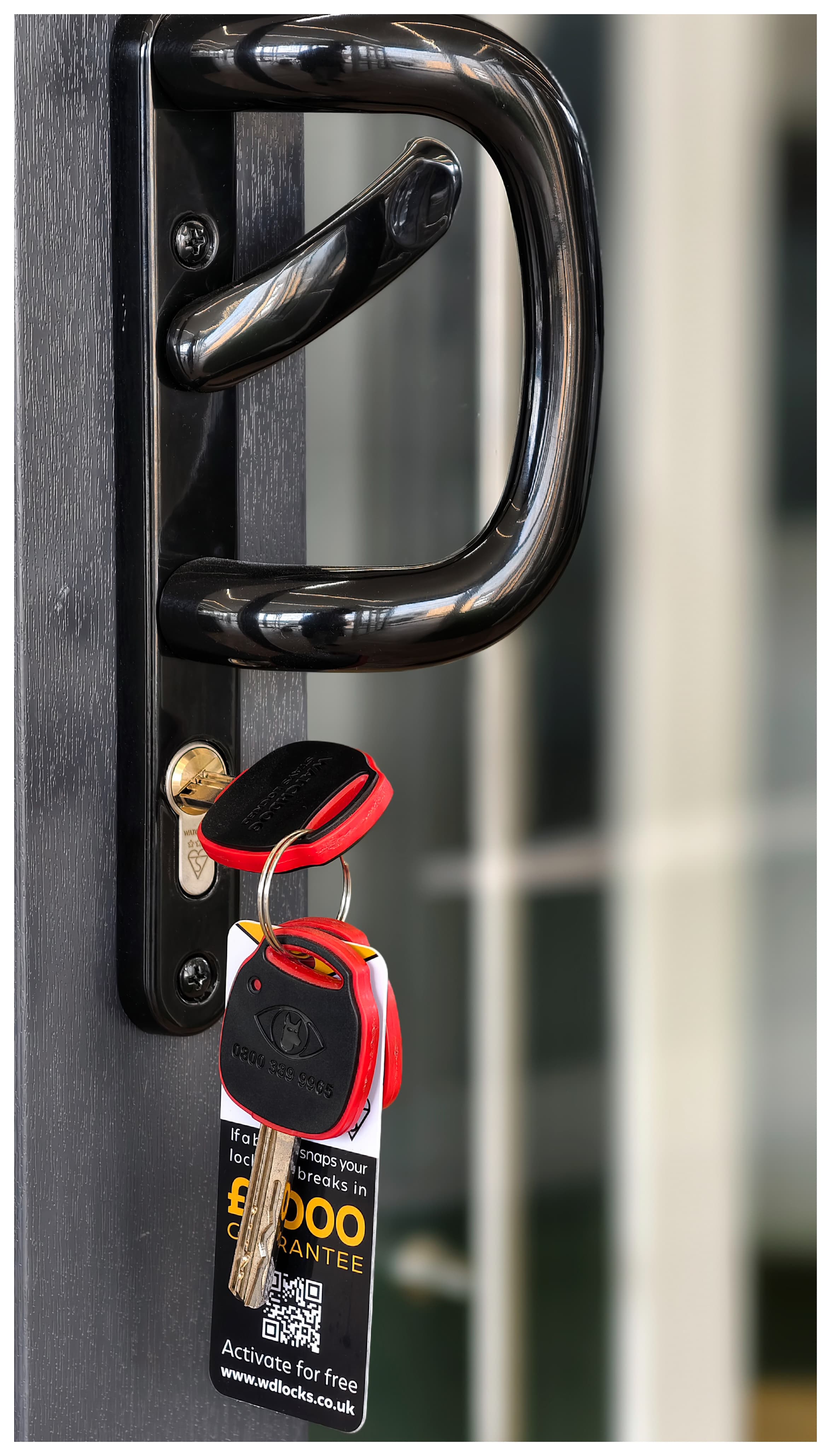 Anthracite entrance door display in showroom